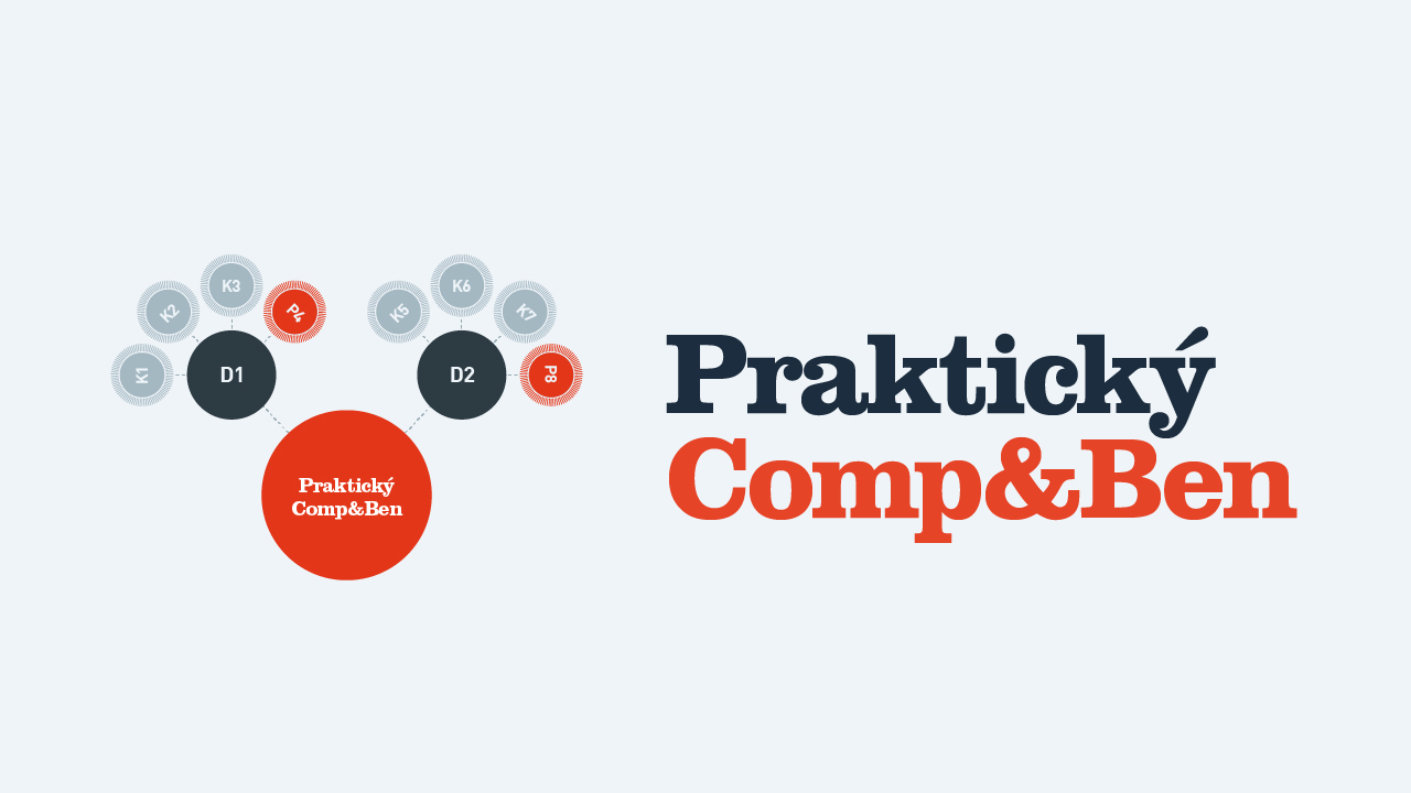 Praktický Comp&Ben – BD Advisory